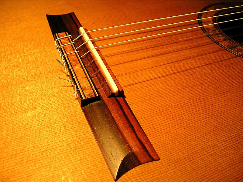 Detail kobylky kytary Concert Master
